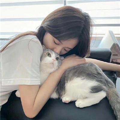 动画剧集